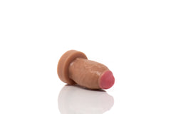 Small / Natural Coloration [+$10]